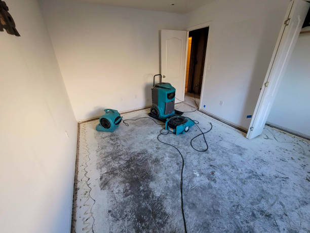 Best Water damage restoration near me  in Baileyton, AL