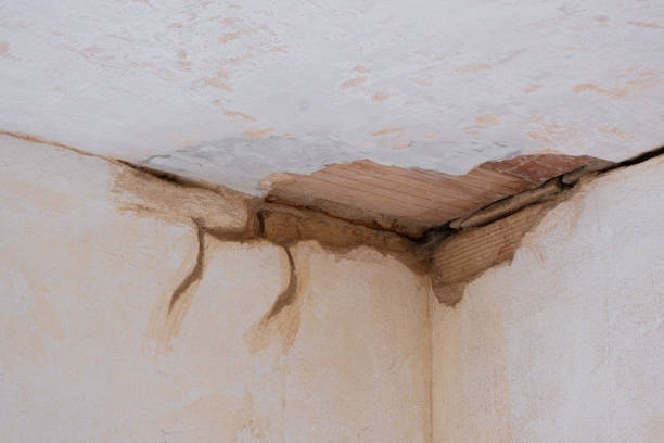 Best Emergency water damage restoration  in Baileyton, AL