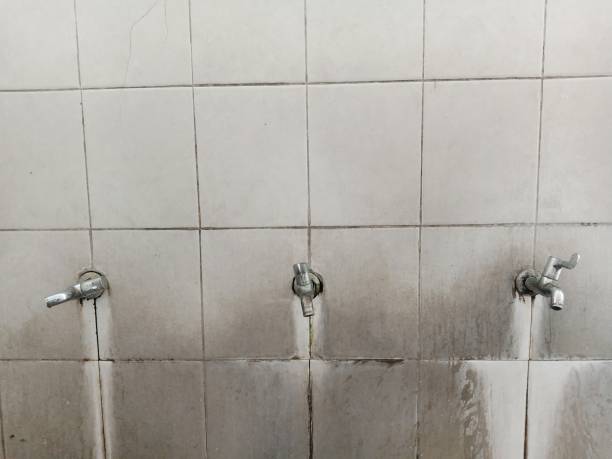 Best Sewage cleanup and water damage restoration  in Baileyton, AL