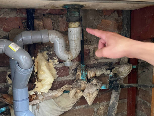 Best Carpet water damage restoration  in Baileyton, AL