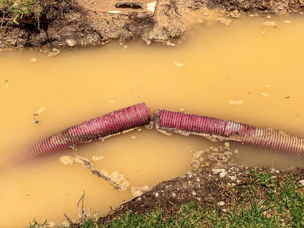 24/7 water damage repair in Baileyton, AL