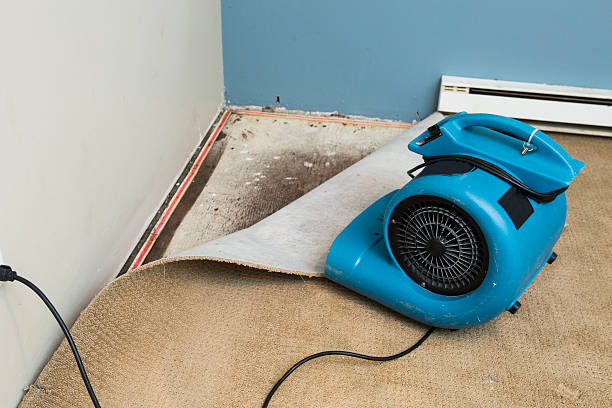 Water damage restoration insurance claims in Baileyton, AL